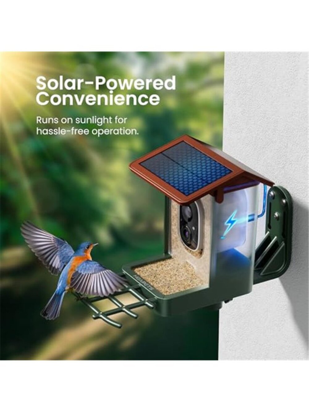 Smart Bird Feeder with Camera Solar Powered 2K HD Video, 10,000+ Species AI - Picture 4 of 7